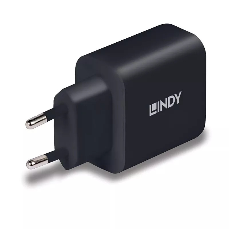 Lindy 73426 caricabatterie universale mobile nero AC ricarica rapida interno
