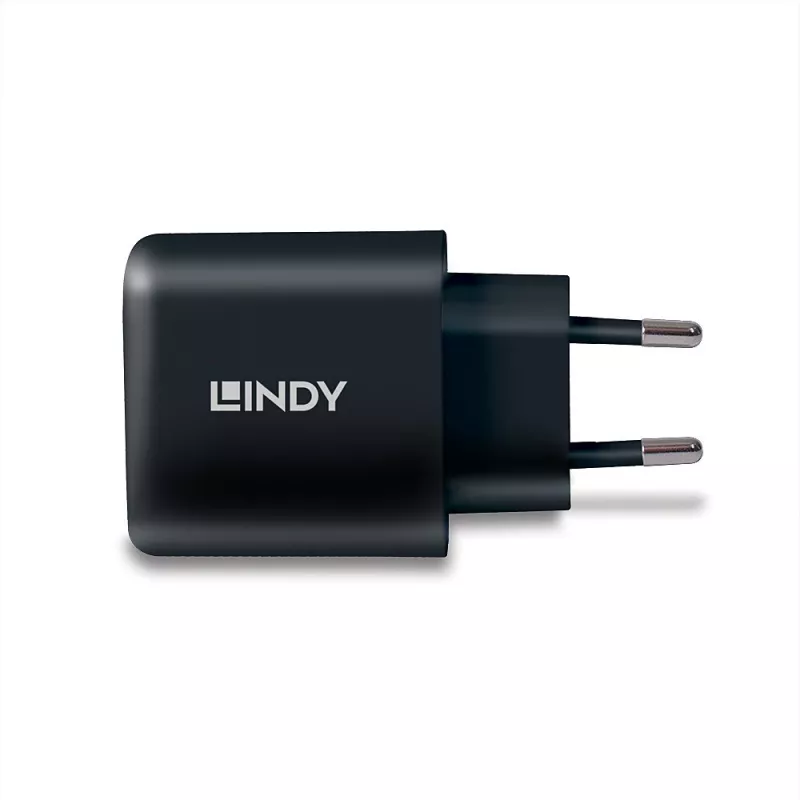 Lindy 73426 caricabatterie universale mobile nero AC ricarica rapida interno