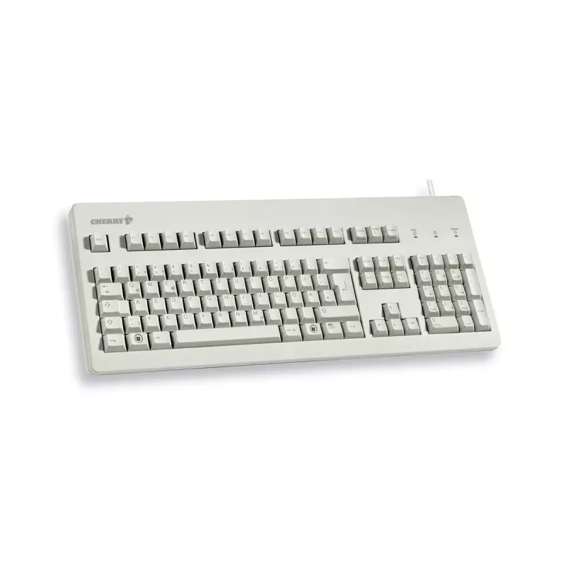 Tastiera CHERRY G80-3000 universale USB QWERTY US inglese grigio