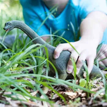 schleich Dinosauri Brachiosaurus, 4 anni, Era dei dinosauri, La conquista della Terra, Dinosauri e vulcano, I primi giganti, multicolore, plastica
