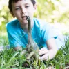schleich Dinosauri Brachiosaurus, 4 anni, Era dei dinosauri, La conquista della Terra, Dinosauri e vulcano, I primi giganti, multicolore, plastica