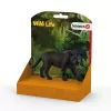 schleich WILD LIFE Pantera nera, 3 anni, giungla, animali selvatici / giocattolo d'avventura, multicolore, plastica