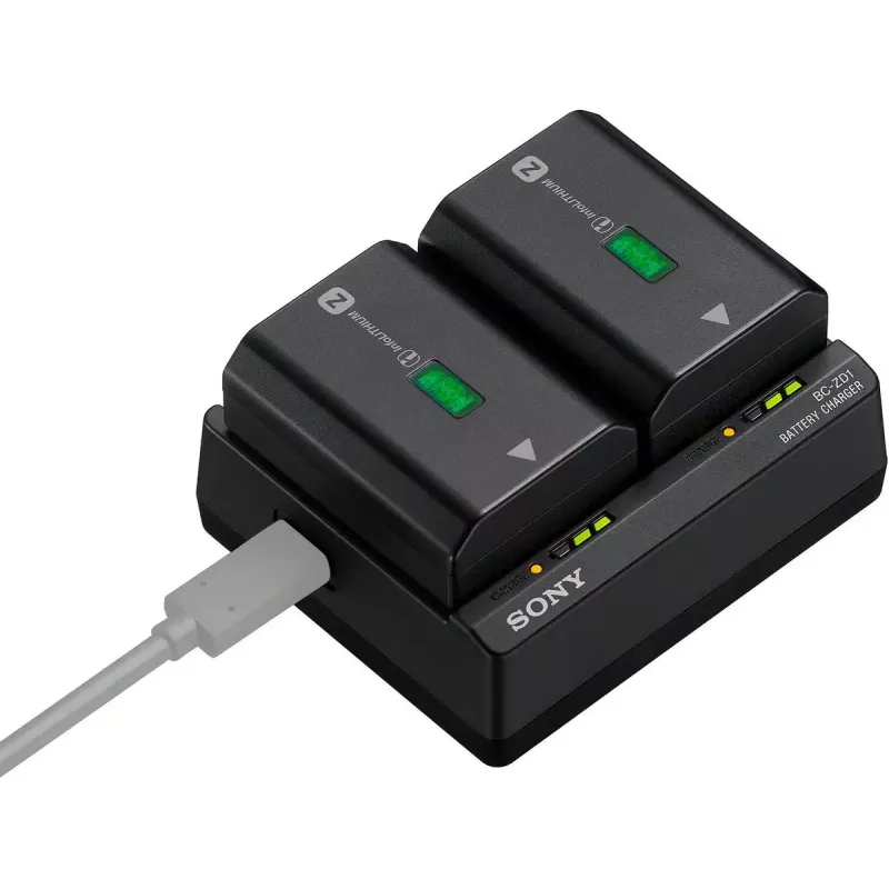 Caricabatterie Sony BC-ZD1 per batteria fotocamera digitale USB