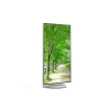 Sharp MultiSync EA272U monitor per computer 68,6 cm (27