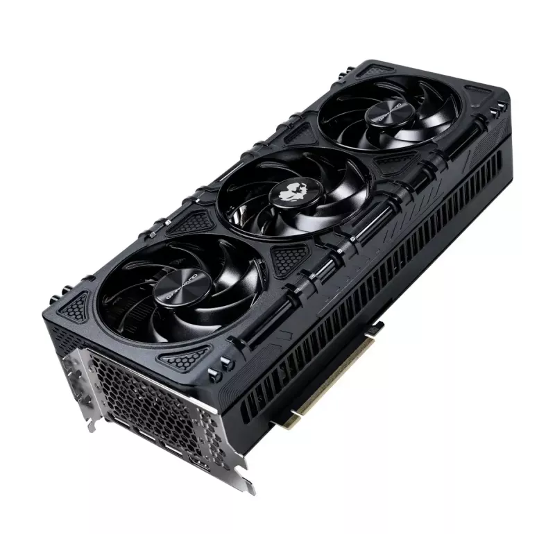 Scheda grafica Gainward GeForce RTX 5090 32 GB GDDR7