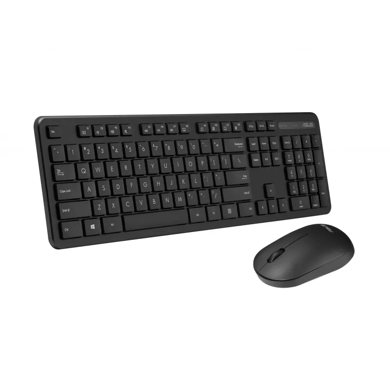 Tastiera e mouse ASUS CW100 inclusi universale RF wireless nero
