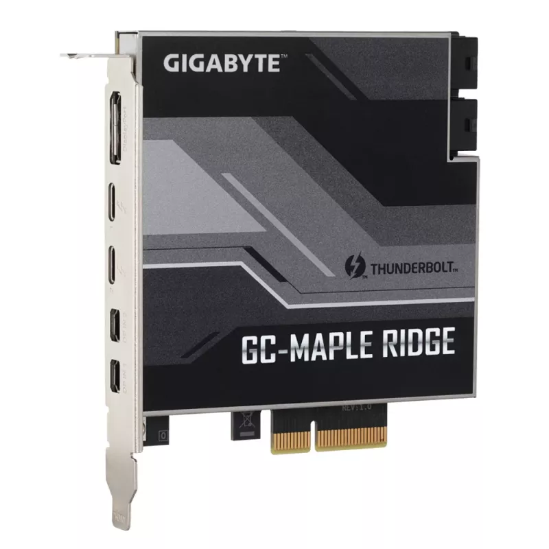GIGABYTE GC-MAPLE RIDGE scheda di interfaccia/adattatore interno DisplayPort, Mini DisplayPort, Thunderbolt 4, USB 3.2 Gen 2 (3.1 Gen 2)