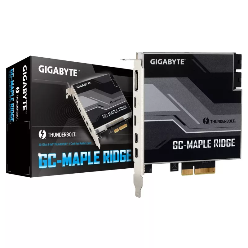 GIGABYTE GC-MAPLE RIDGE scheda di interfaccia/adattatore interno DisplayPort, Mini DisplayPort, Thunderbolt 4, USB 3.2 Gen 2 (3.1 Gen 2)