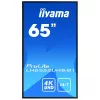 Display digital signage IIYAMA LH6552UHS-B1 64,5 pollici IPS 4K 3840x2160 500 cd/m² Android 8.0 24/7 nero