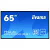 Display digital signage IIYAMA LH6552UHS-B1 64,5 pollici IPS 4K 3840x2160 500 cd/m² Android 8.0 24/7 nero