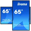 Display digital signage IIYAMA LH6552UHS-B1 64,5 pollici IPS 4K 3840x2160 500 cd/m² Android 8.0 24/7 nero