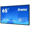 Display digital signage IIYAMA LH6552UHS-B1 64,5 pollici IPS 4K 3840x2160 500 cd/m² Android 8.0 24/7 nero