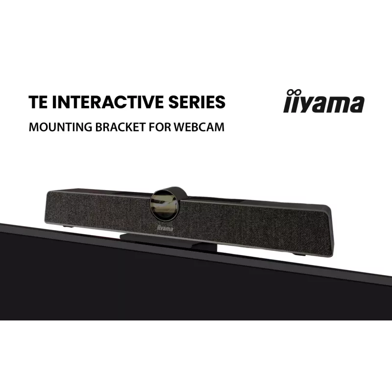 Schermo piatto interattivo IIYAMA TE6513A-B2AG 64,5