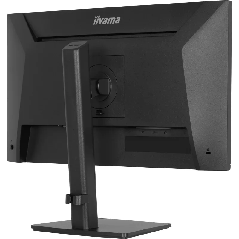 Monitor per computer IIYAMA ProLite XB2491H-B1 23,8