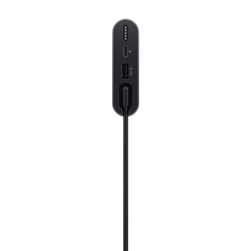 Powerbank portatile Dell PW7018LC litio-ioni 1x uscita USB-A argento