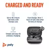 HP Poly Voyager Free 60 UC Carbon nero auricolari +BT700 adattatore USB-C +custodia di ricarica
