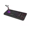 Tastiera GENESIS Thor 230 TKL Gaming USB + RF Wireless + Bluetooth QWERTZ nero