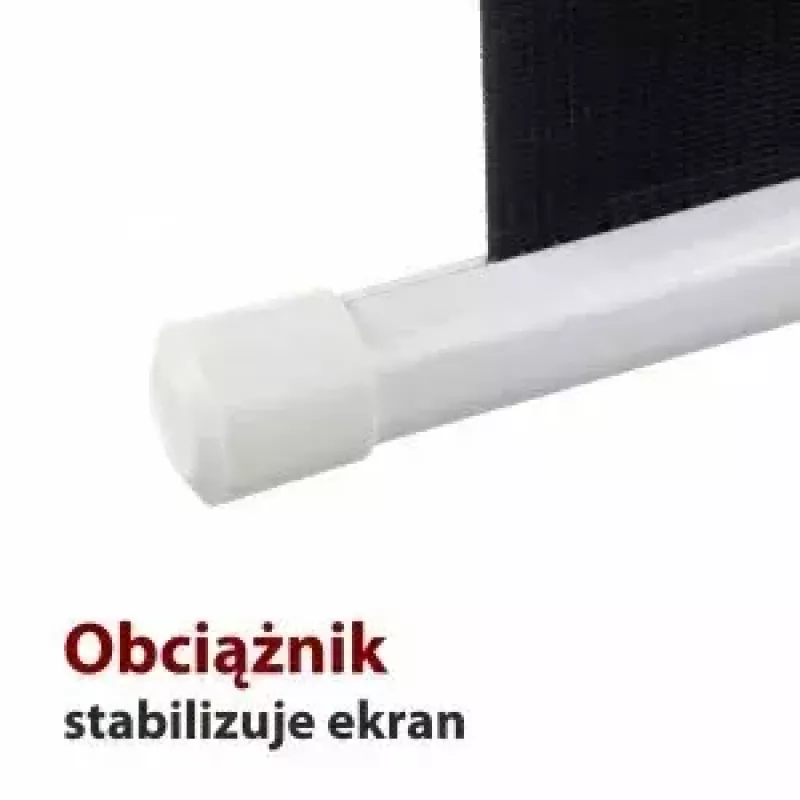 Schermo per proiezione ART ER M96 1:1