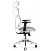 Sedia da ufficio ergonomica Diablo Chairs V-Basic bianco-grigio – altezza e inclinazione regolabili, braccioli, supporto lombare