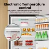 Hisense RB440N4ACA A libera installazione 336 L Acciaio inox