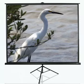 Schermo di proiezione con treppiede Elite Screens T100UWV1 2,54 m (100 pollici) 4:3