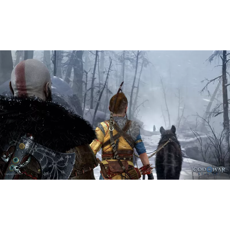 Sony God of War Ragnarök, PlayStation 5, M (Mature), supporto fisico