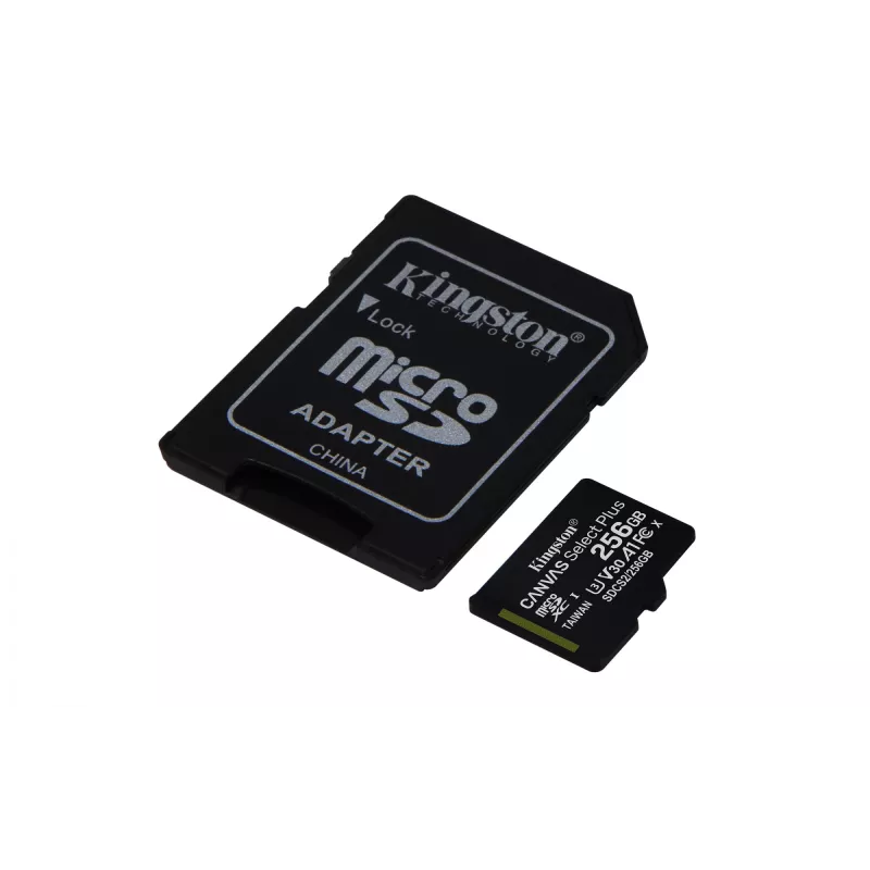 Kingston Technology Canvas Select 256GB microSDXC Plus 100R A1 C10 scheda + adattatore