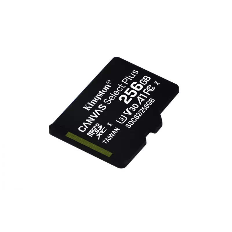 Kingston Technology Canvas Select 256GB microSDXC Plus 100R A1 C10 scheda + adattatore