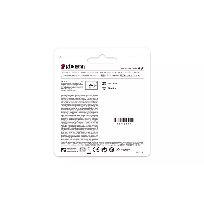 Kingston Technology Canvas Select 256GB microSDXC Plus 100R A1 C10 scheda + adattatore