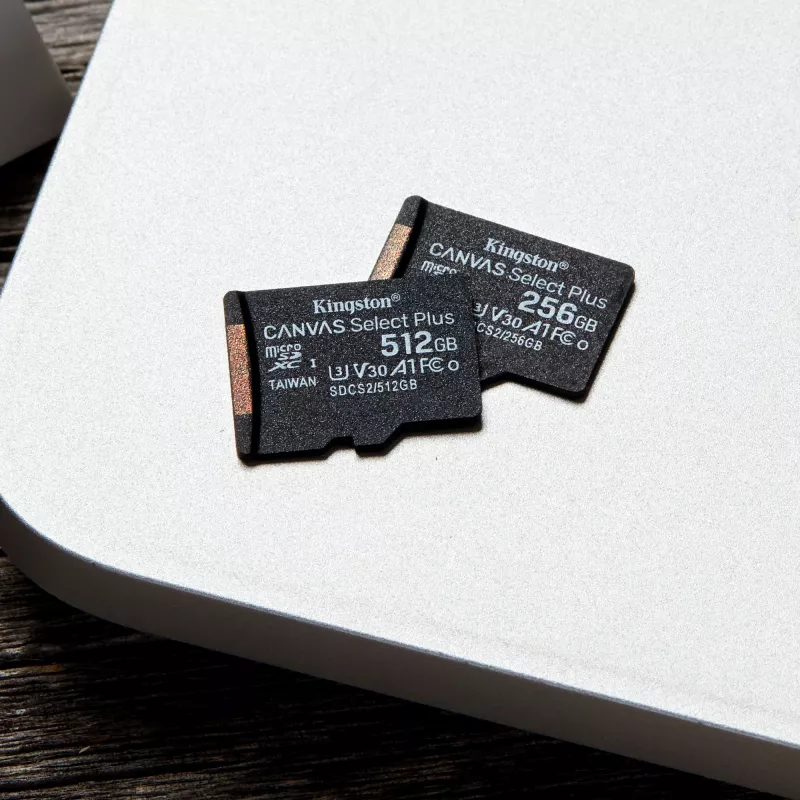 Kingston Technology Canvas Select 256GB microSDXC Plus 100R A1 C10 scheda + adattatore