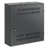 Intellinet armadio a parete low-profile 19 pollici con 4U guide orizzontali e 2U verticali, case sottile e salvaspazio con soli 170 mm di profondità, ideale per applicazioni AV, multimedia e di sorveglianza, montato, nero RAL 7021