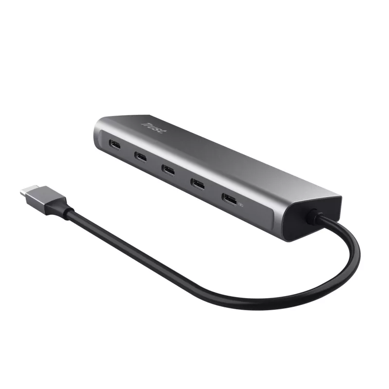 Trust Halyx USB 3.2 Gen 1 (3.1 Gen 1) Type-C argento