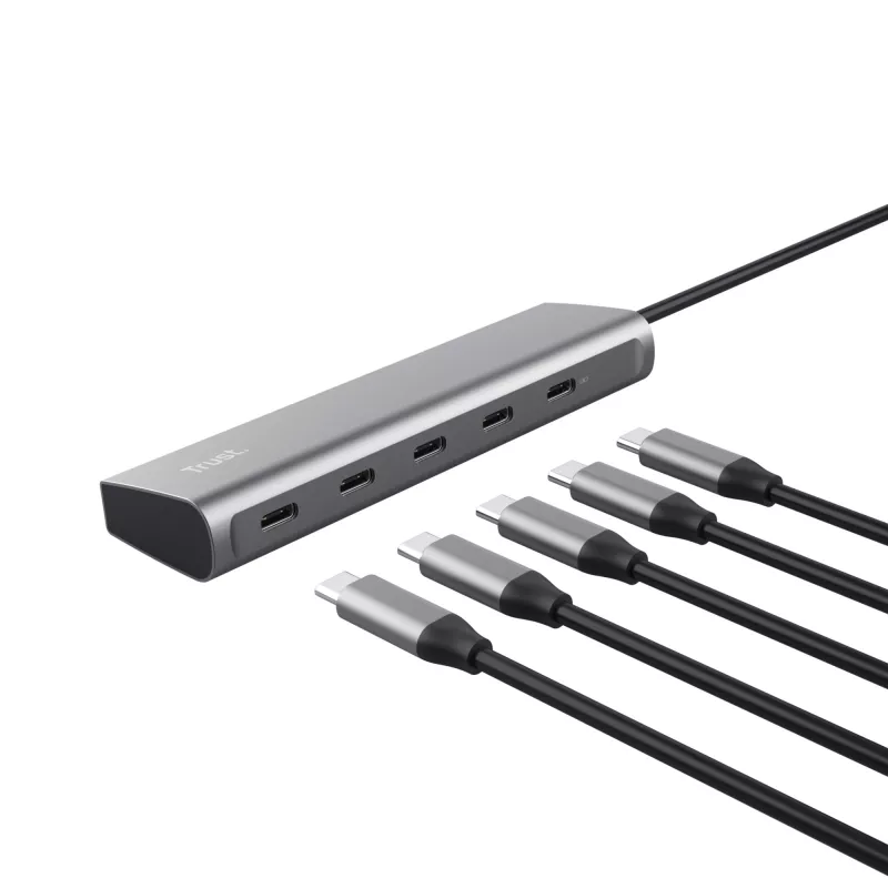 Trust Halyx USB 3.2 Gen 1 (3.1 Gen 1) Type-C argento