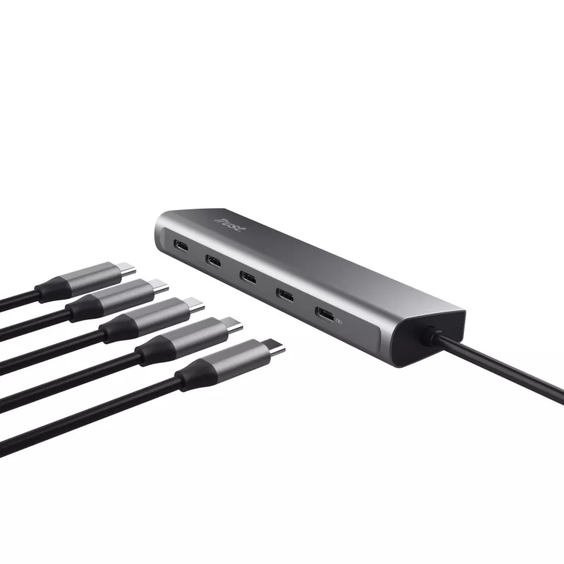 Trust Halyx USB 3.2 Gen 1 (3.1 Gen 1) Type-C argento