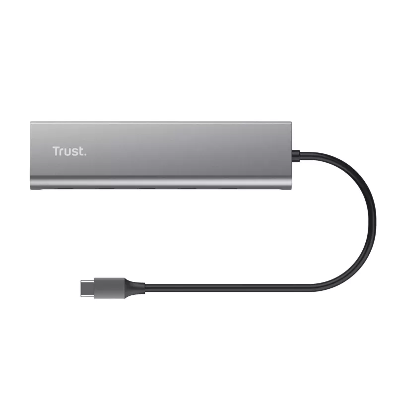 Trust Halyx USB 3.2 Gen 1 (3.1 Gen 1) Type-C argento
