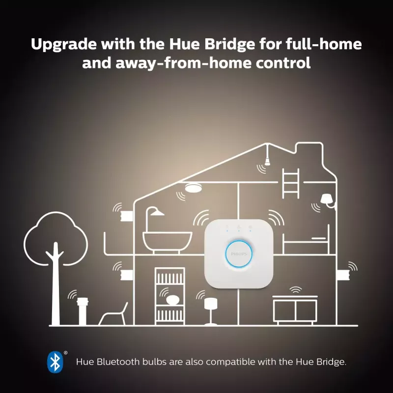 Philips Hue White A60 – lampadina smart E27 – 800 (confezione da 2)