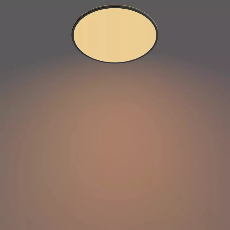 Plafoniera Philips Functional Super slim 36 W LED nero rotonda