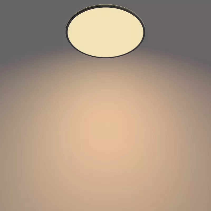 Plafoniera Philips Functional Super slim 36 W LED nero rotonda