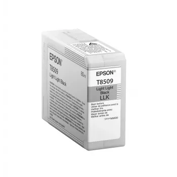 Epson confezione singola nero chiaro-chiaro T850900, nero chiaro-chiaro, inchiostro pigmentato, 80 ml, 1 pz.