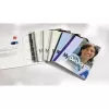GBC striscia di rilegatura CombBind PP trasparente, trasparente, cloruro di polivinile (PVC), A4, 245 g, 100 pezzi, Egitto