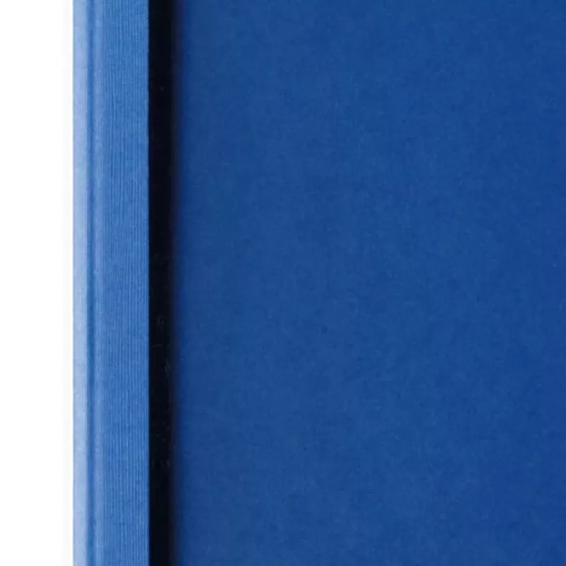 GBC Cartelle ThermaBind LeatherGrain 3 mm blu reale (100)