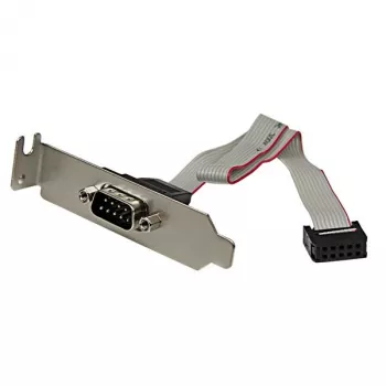 StarTech.com piastra per slot LP seriale 9 pin maschio a header scheda madre 10 pin
