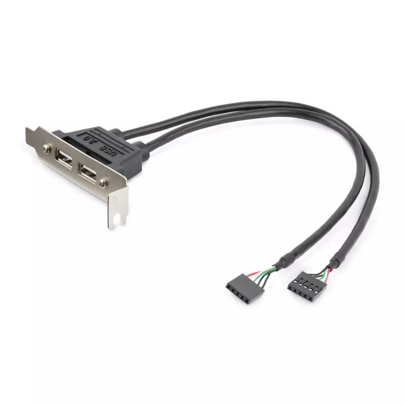StarTech.com adattatore per slot low-profile USB-A femmina a 2 porte