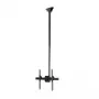 StarTech.com supporto da soffitto per TV – supporto universale a sospensione per singolo schermo completamente orientabile con asta telescopica regolabile – inclinazione / rotazione – supporto VESA per display da 32