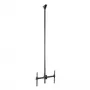 StarTech.com Supporto TV a soffitto – supporto sospeso universale completamente orientabile per un display con asta telescopica lunga regolabile – inclinazione / rotazione – attacco VESA per display 32-75 pollici