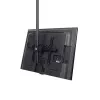 StarTech.com Supporto TV a soffitto – supporto sospeso universale completamente orientabile per un display con asta telescopica lunga regolabile – inclinazione / rotazione – attacco VESA per display 32-75 pollici