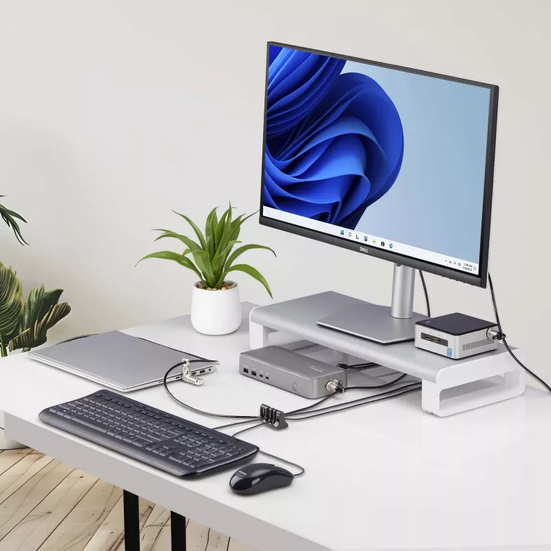 StarTech.com lucchetto ancora cavi per periferiche, protegge tastiera/mouse, lucchetto cavi per uffici condivisi/computer pubblici, trappola cavi compatibile con cavo di sicurezza per laptop/lucchetto – TAA