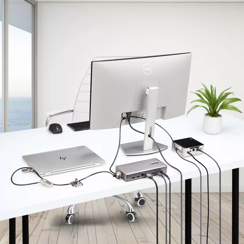 StarTech.com Kit di sicurezza con lucchetto per laptop/desktop e periferiche, lucchetto antifurto, slot K, cavo in acciaio da 9,8 piedi (3 m), 3 dispositivi, codice a 4 cifre personalizzabile – TAA