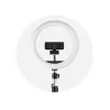 Webcam Kensington W1050 1080p grandangolare a fuoco fisso