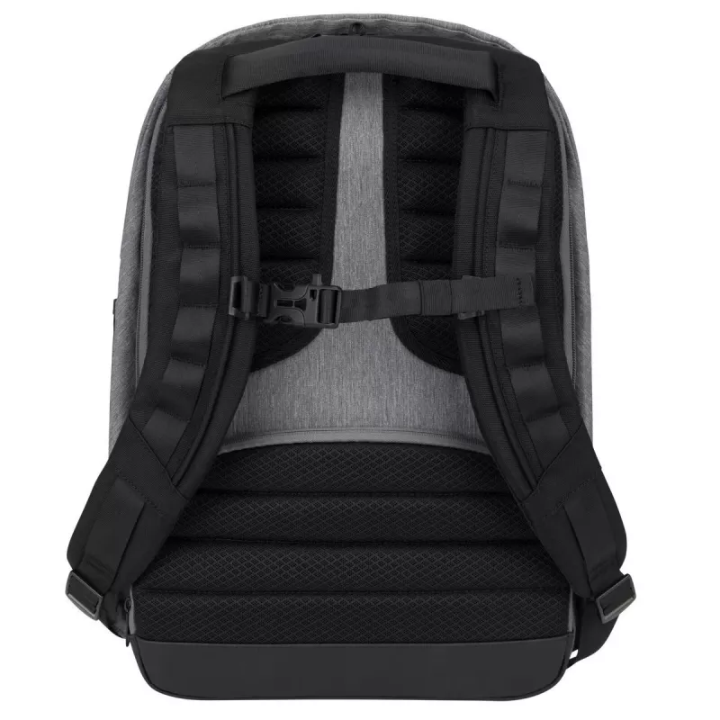 Targus CityLite 39,6 cm (15,6